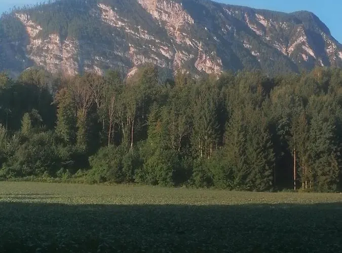 Resi Wohlfuehlen Und Relaxen Apartament